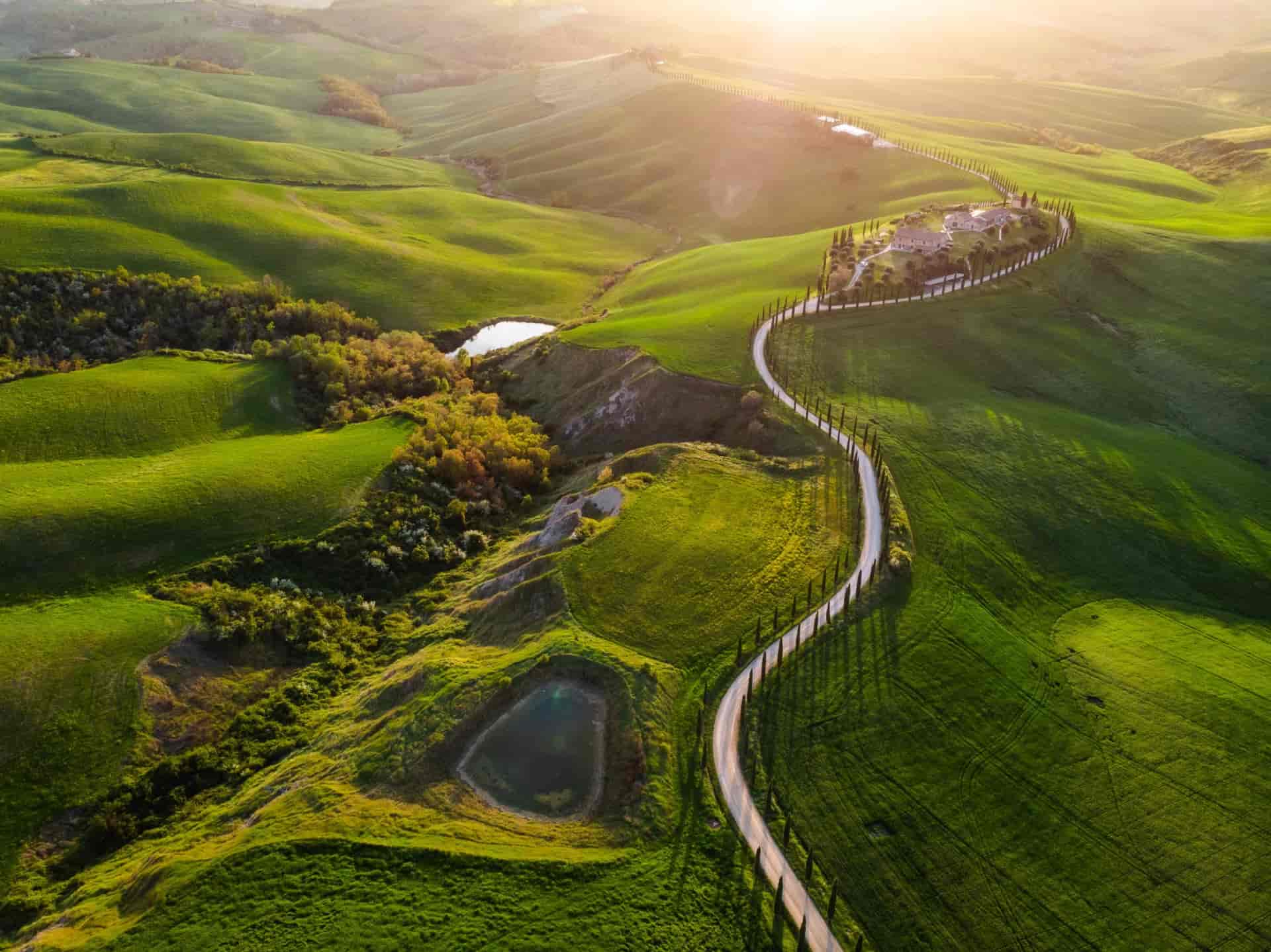 Winding road lined with cypress trees through rolling green hills in Tuscany at sunset