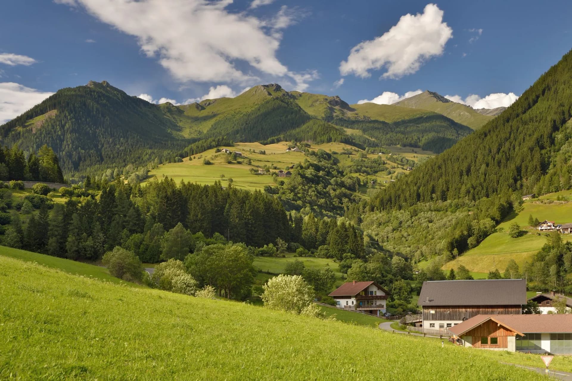 Landscape in molltal valley