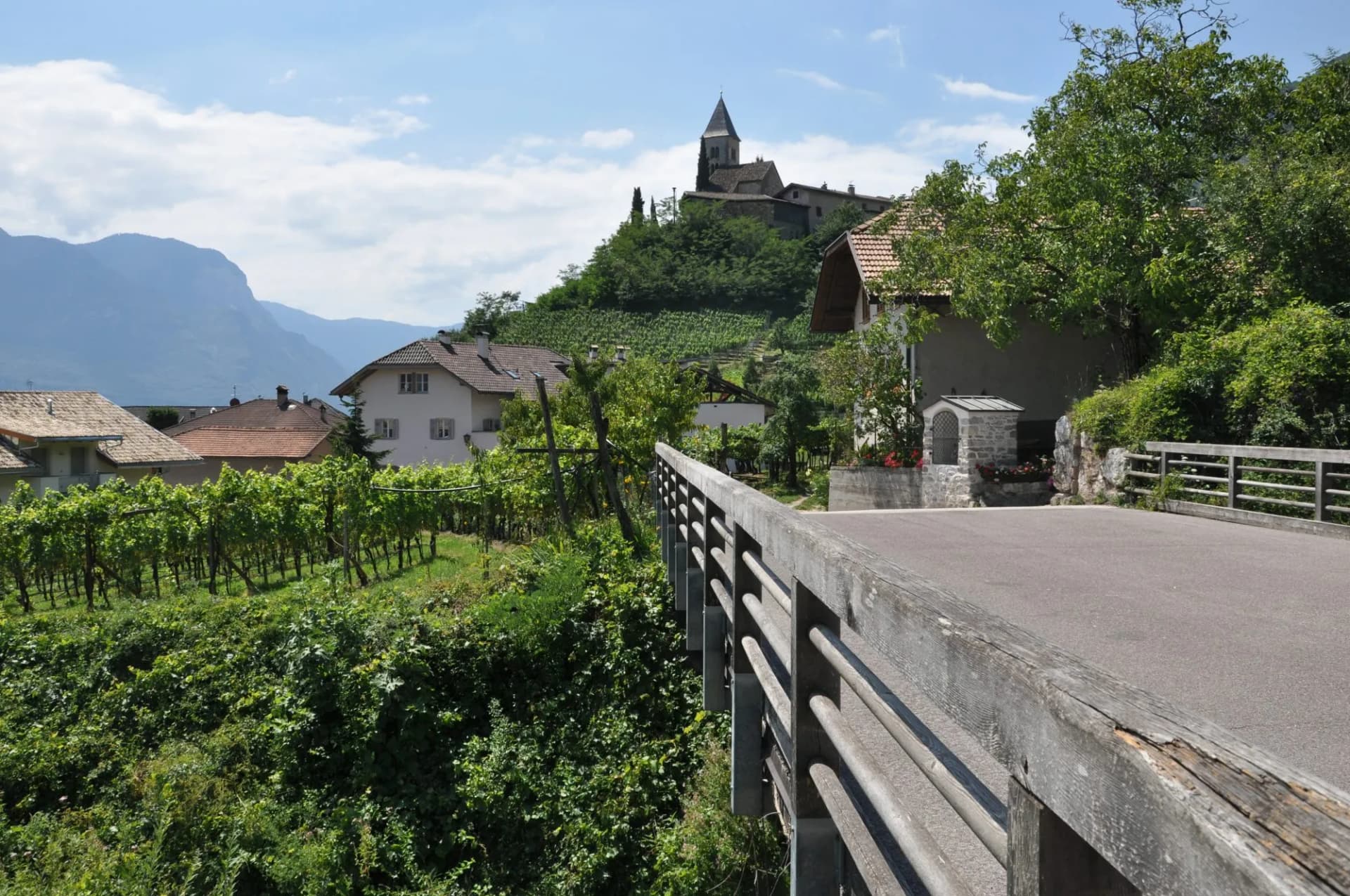 South tyrolean wineroad