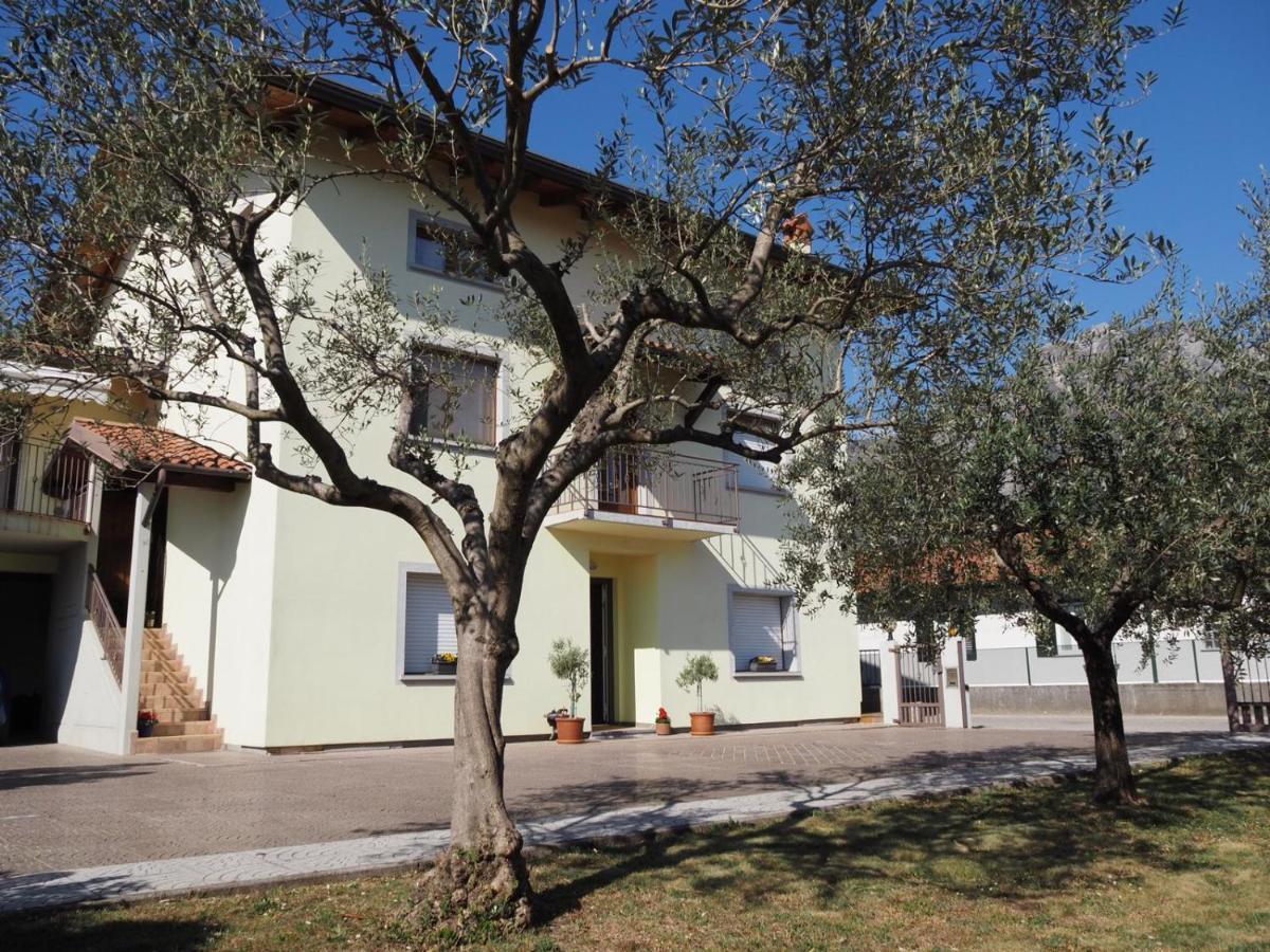 B&B Agli ulivi image 1