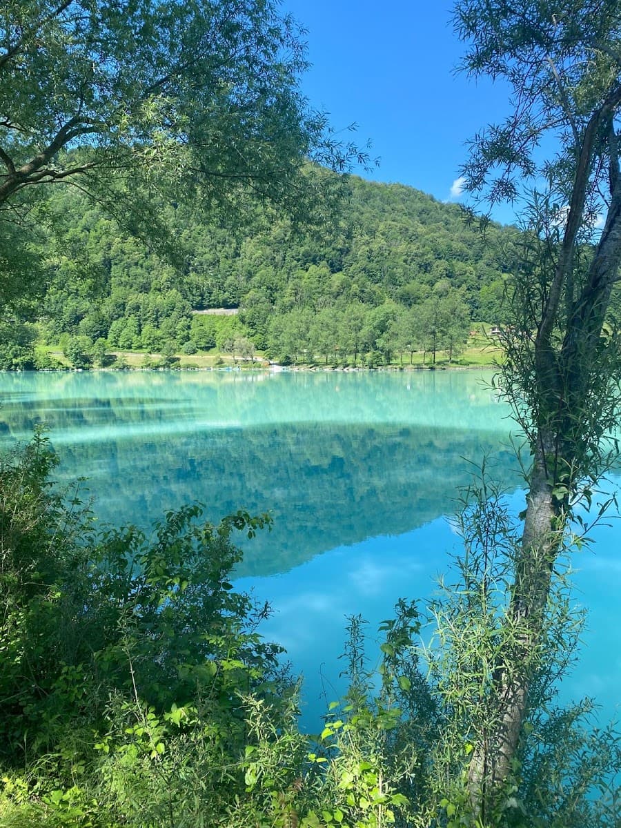 Turquoise lake reflecting forested mountains, viewed through foreground trees and brush.