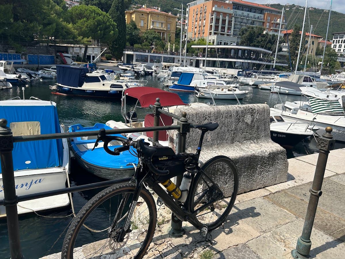 Bicycle parked by railing overlooking crowded harbor with boats and waterfront buildings