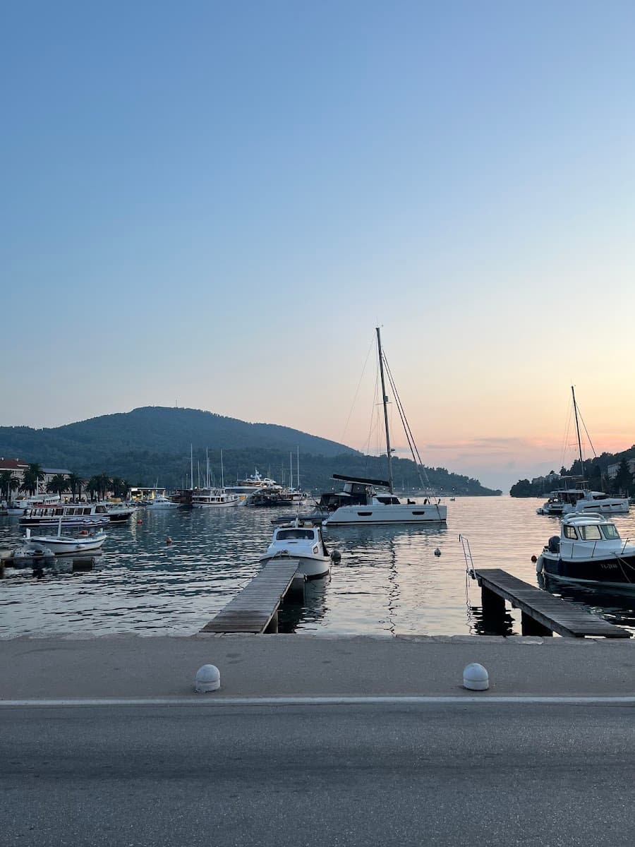 Boats moored in a harbor with a forested hill at sunset
