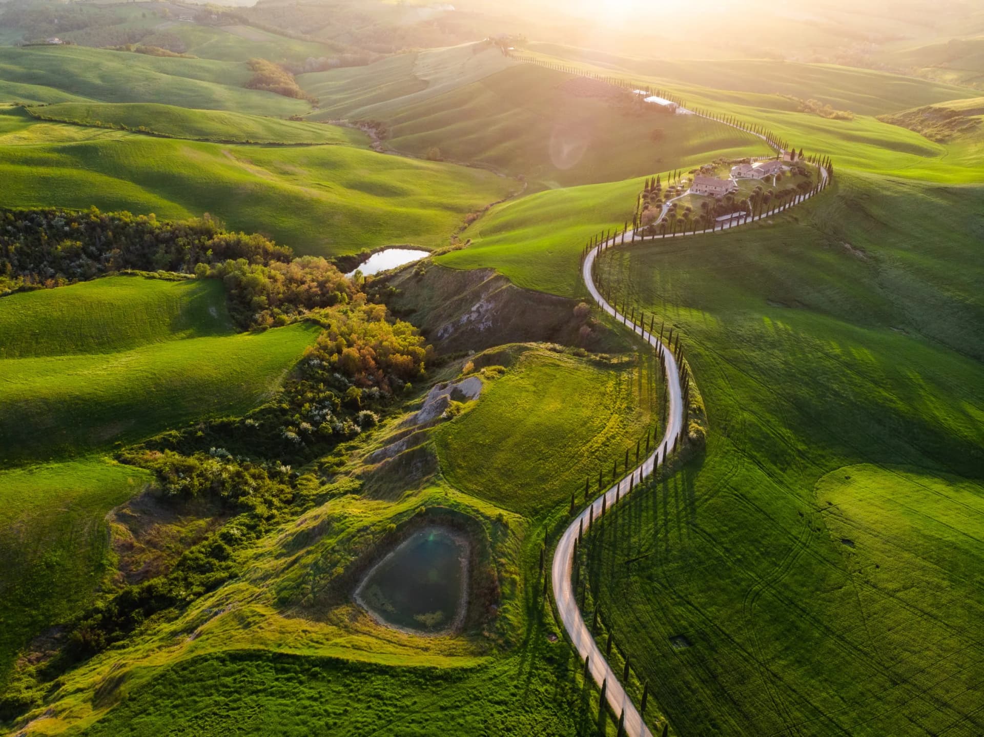 Winding road lined with cypress trees through rolling green hills in Tuscany at sunset