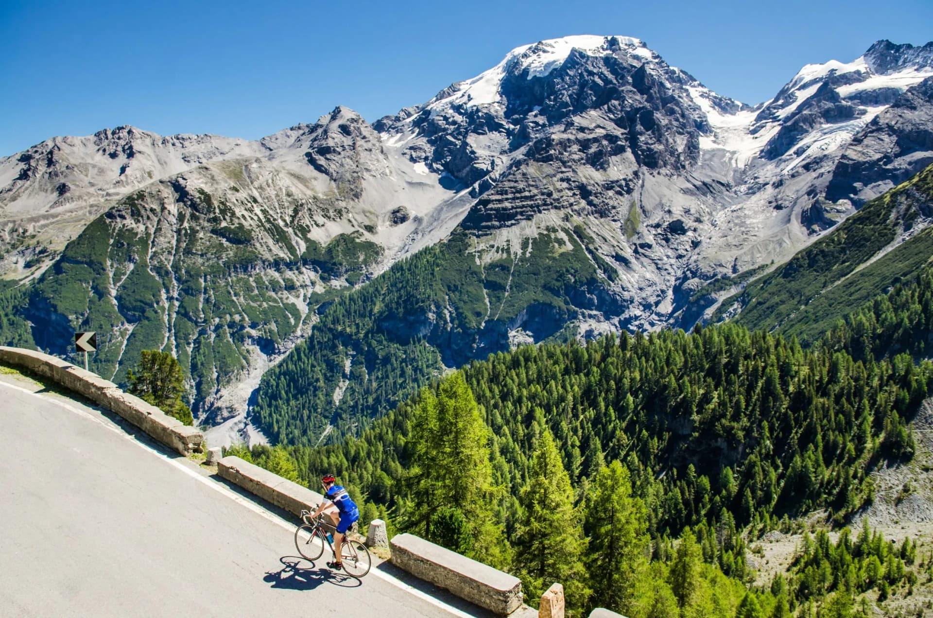 Cyclist climbing mountain road with snow-capped peaks and pine forest in background