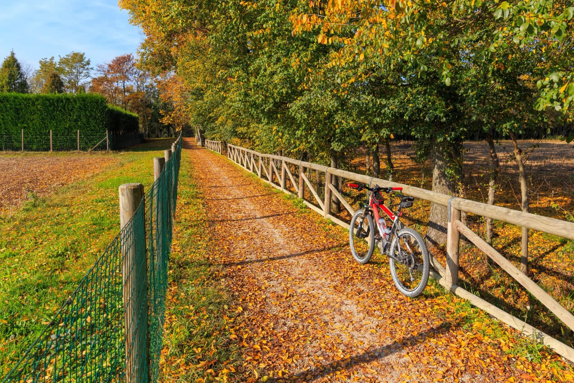Mountain bike resting by a wooden fence on a path covered in autumn leaves in Veneto.
