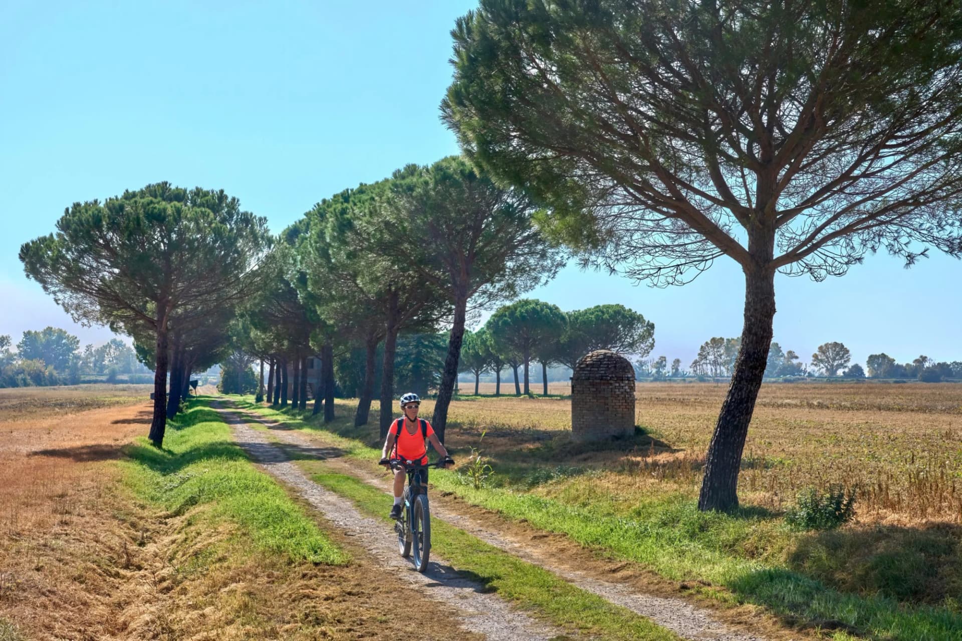 Cyclist on gravel path under pine trees in sunny Tuscan landscape