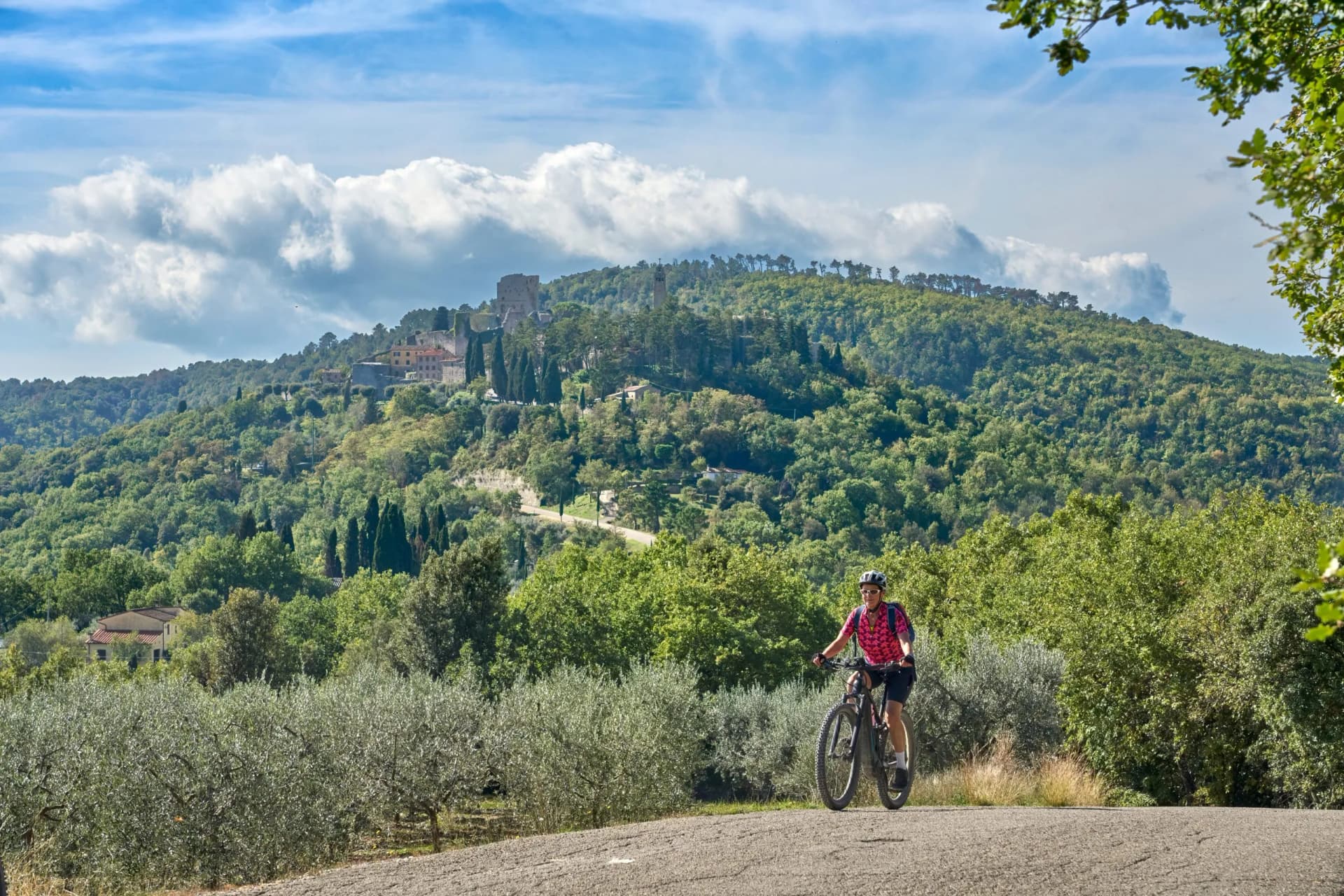 Cyclist on gravel road with olive trees and forested hill with ruins in Tuscany