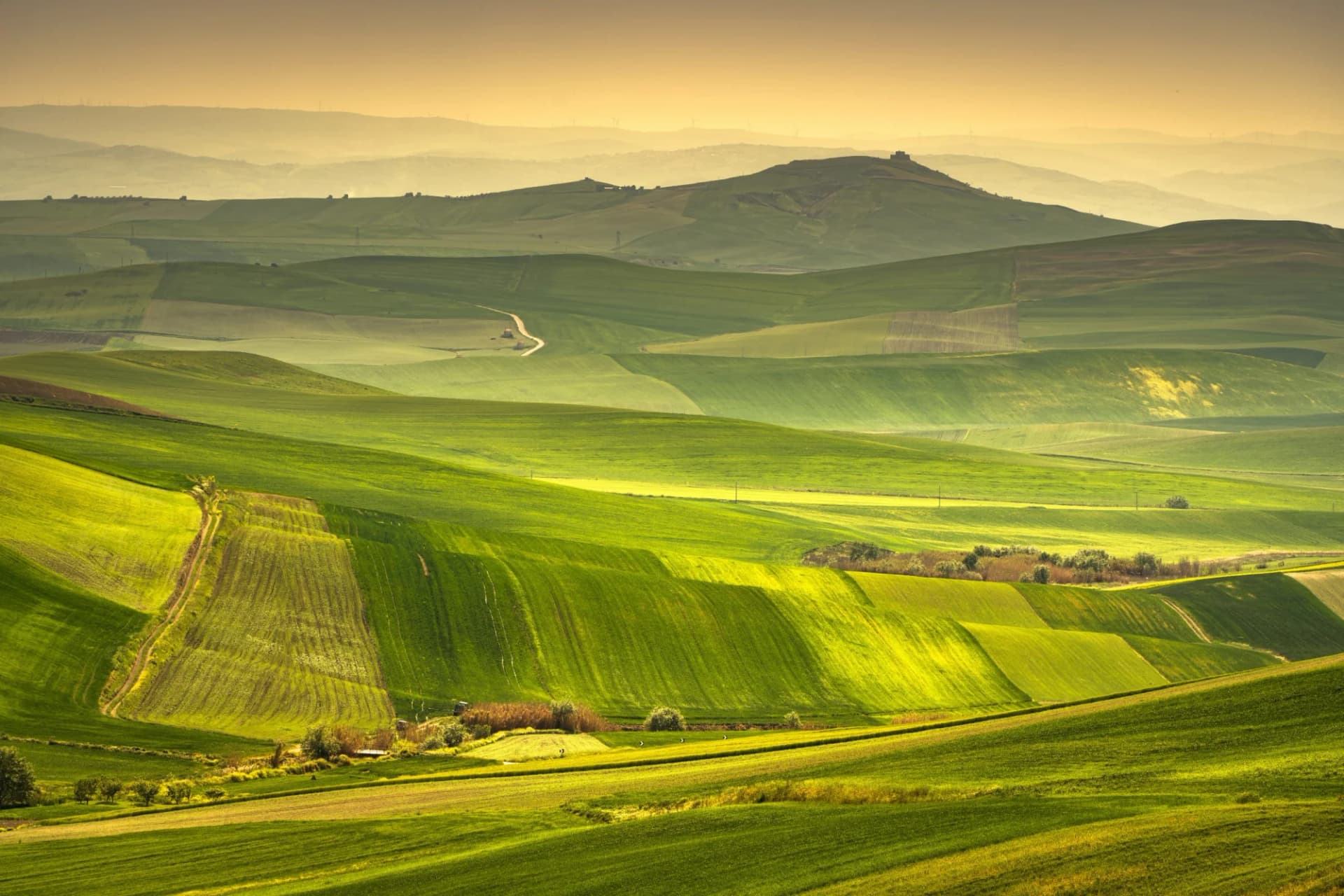 Rolling green agricultural fields stretching to hazy mountains under a warm, golden sky.