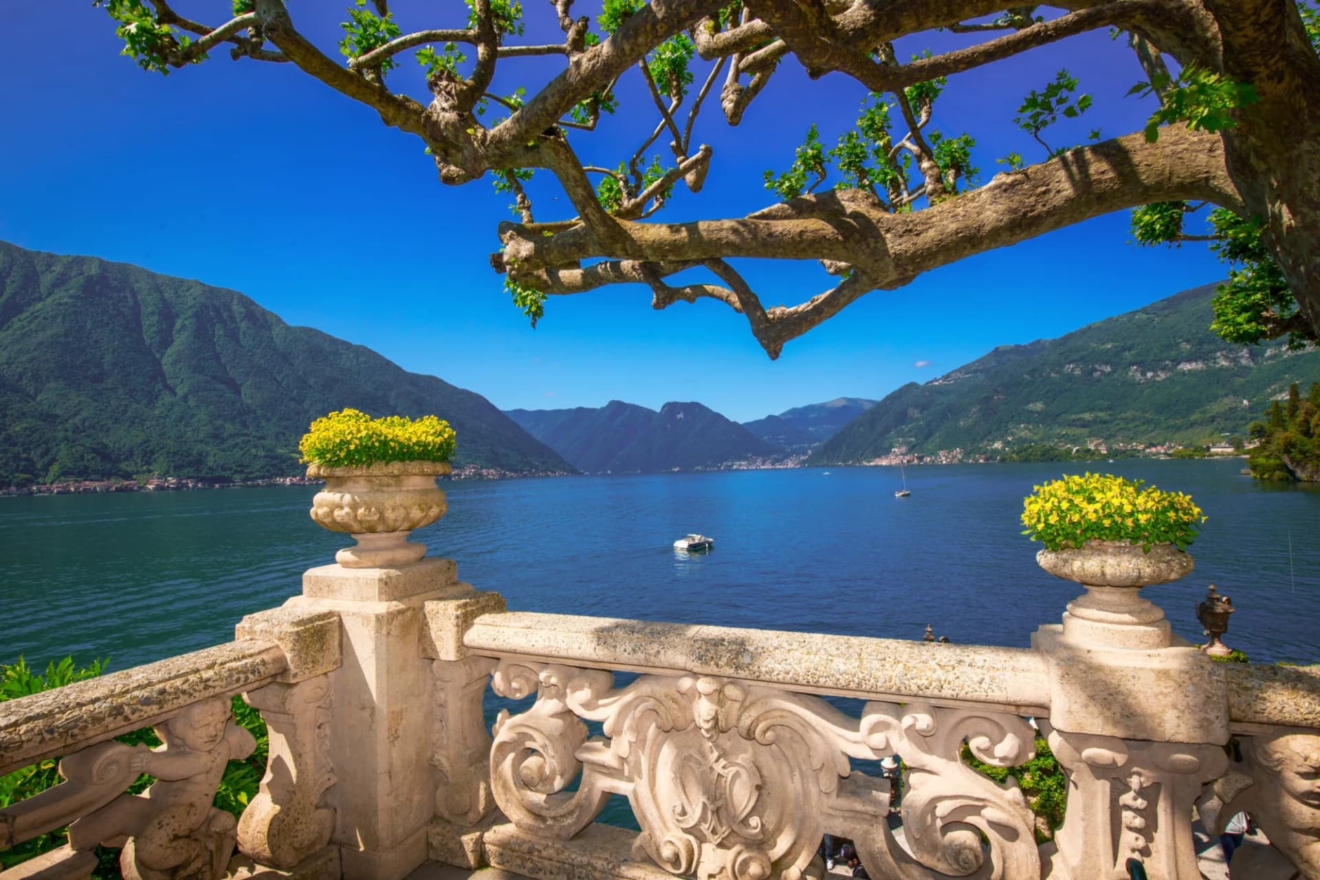 Terrace overlooking Lake Como with mountains, blue water, and boats framed by tree branches.