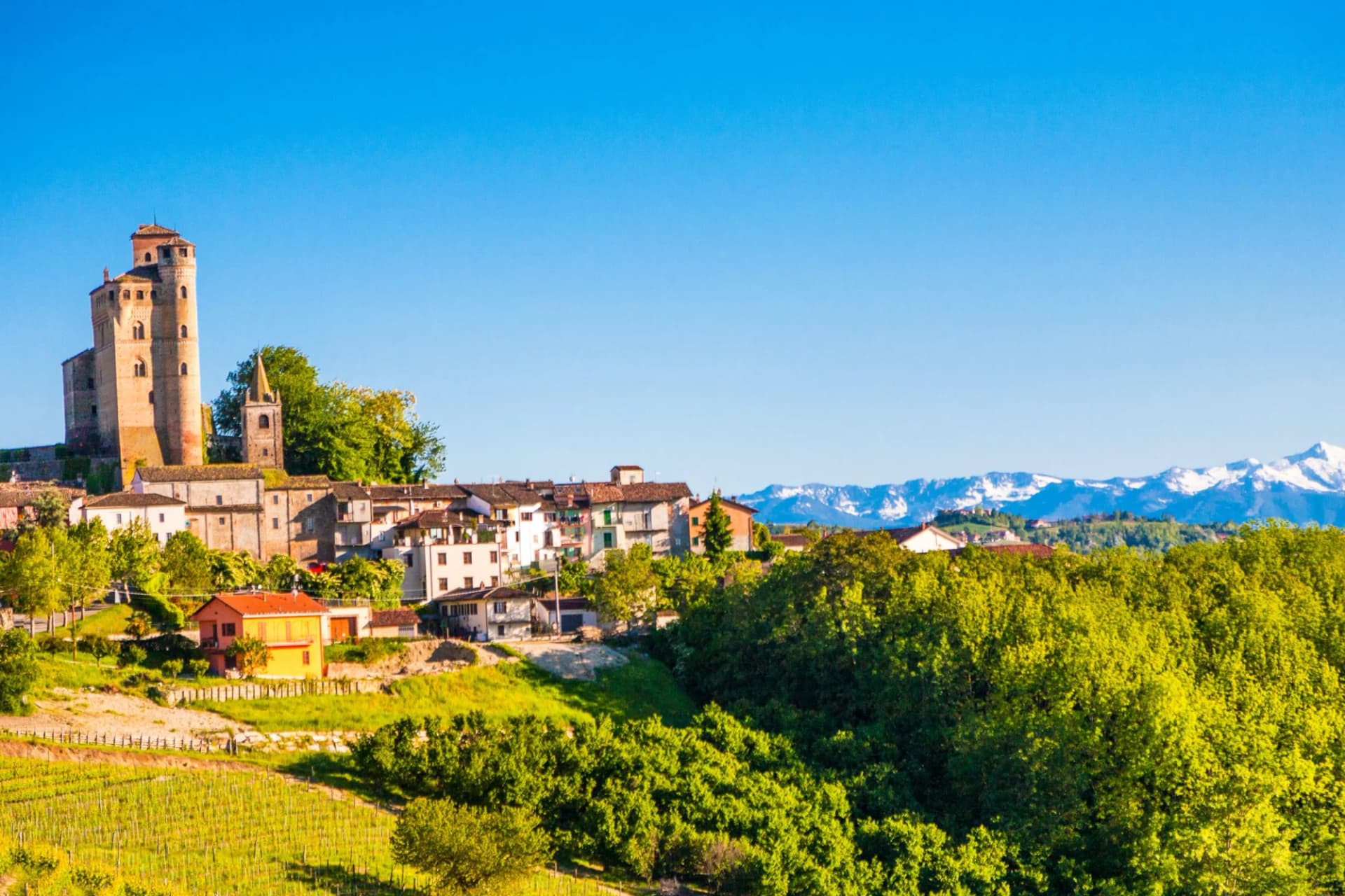 Serralunga d'Alba castle above vineyards with snow-capped Langhe mountains in background