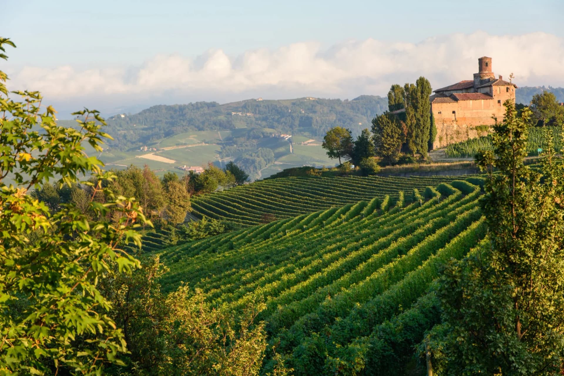 Vineyards near Barolo with rolling hills and a historic stone building under a hazy sky.
