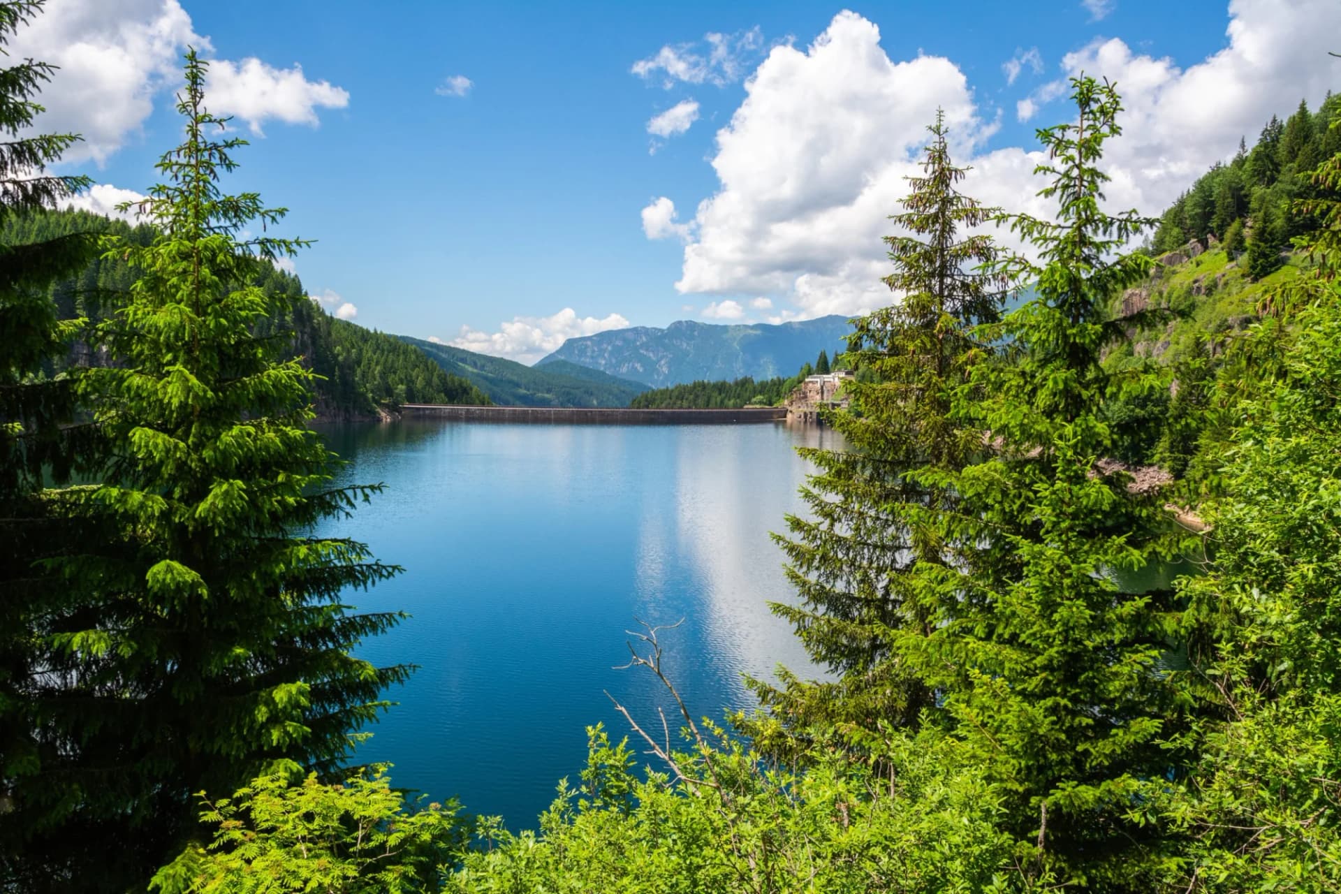 Reservoir with blue water framed by green pine trees and distant mountains near Predazzo.