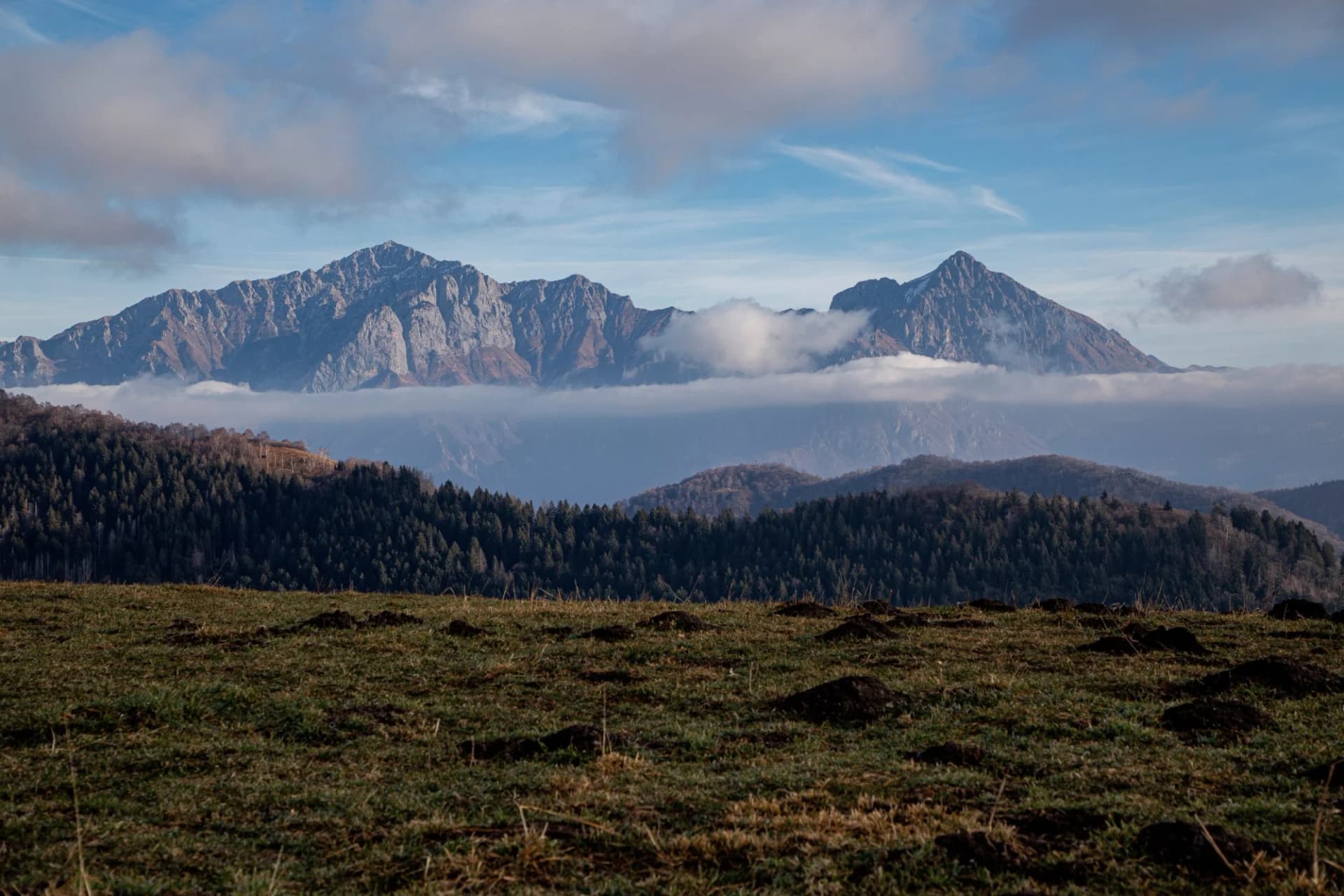 Mountain range above forest and grassy field with low clouds under blue sky