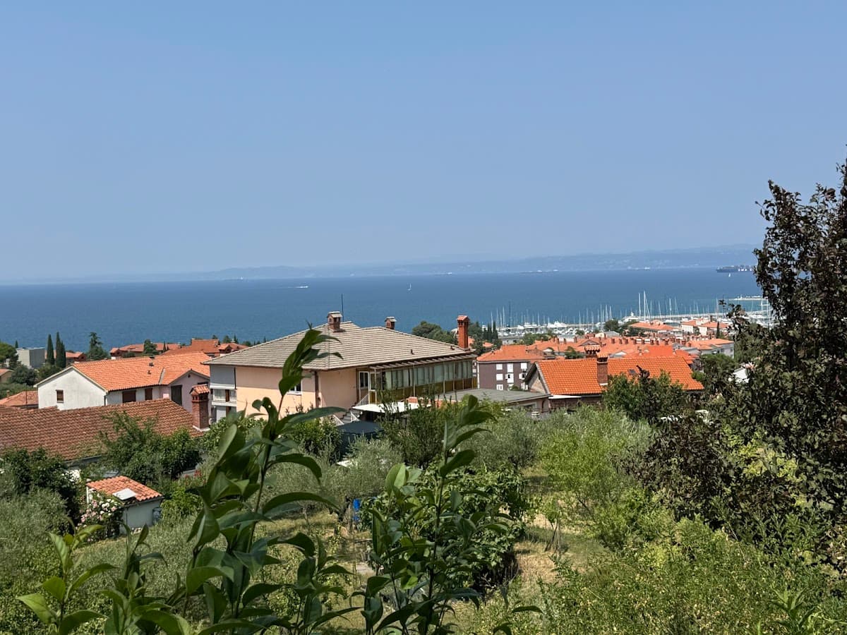 Coastal town with terracotta roofs overlooking a harbor and blue sea under a clear sky.
