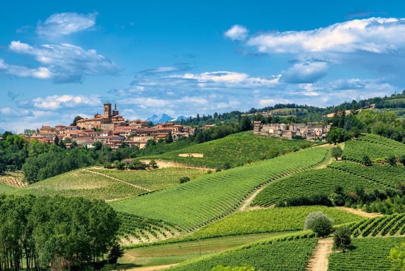 Monferrato image 1