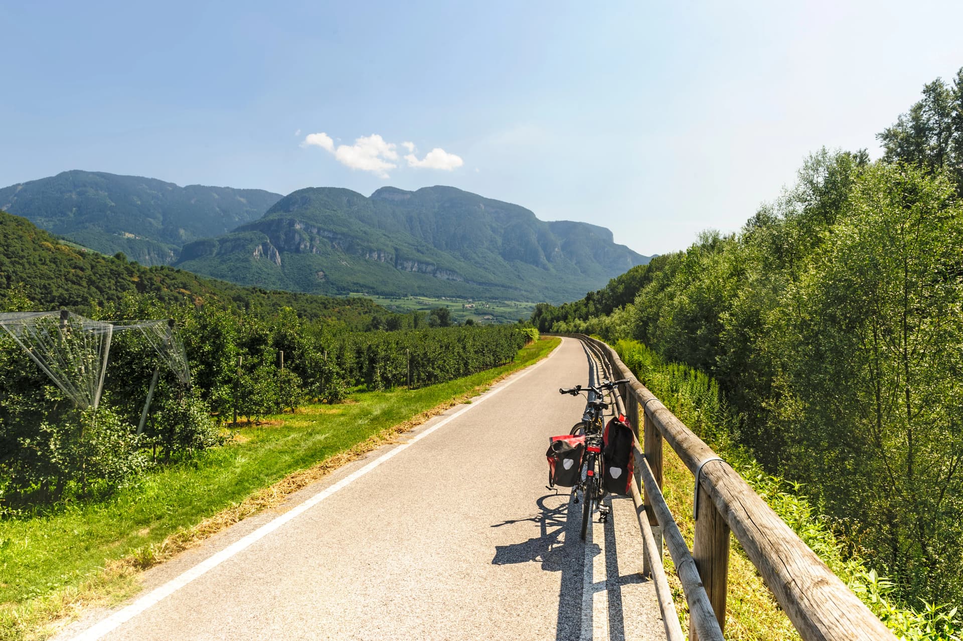 Cycle lane of the Adige valley