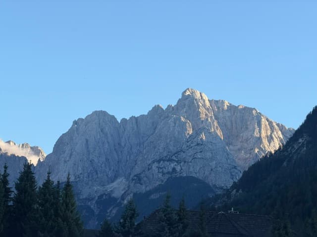 Alpine mountain peaks with rocky faces and pine forest foreground under blue sky