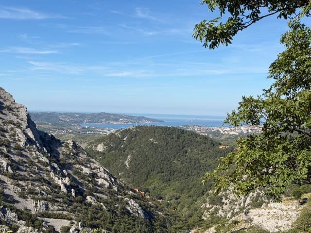 Mountain valley overlooking coastal waters and distant town through tree branches