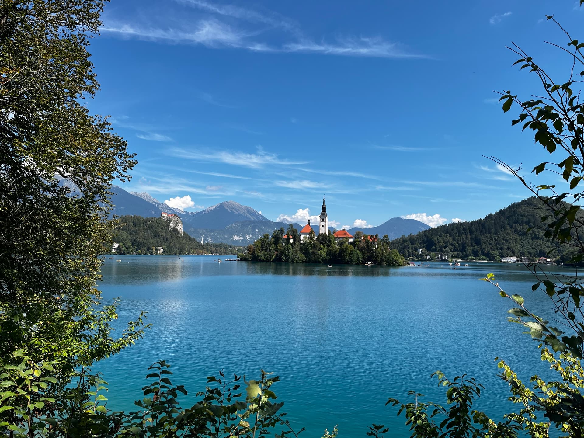 Lake Bled island church and castle framed by trees with Julian Alps in Slovenia