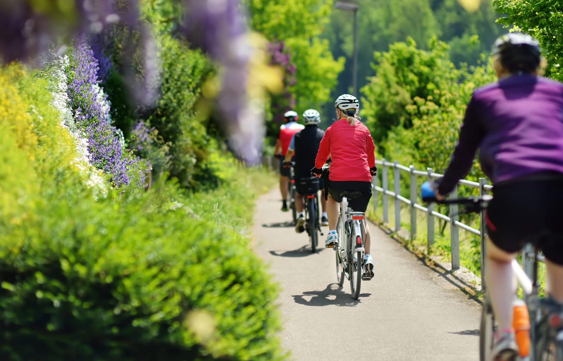 Cyclists riding on paved path lined with lush green foliage and purple flowers