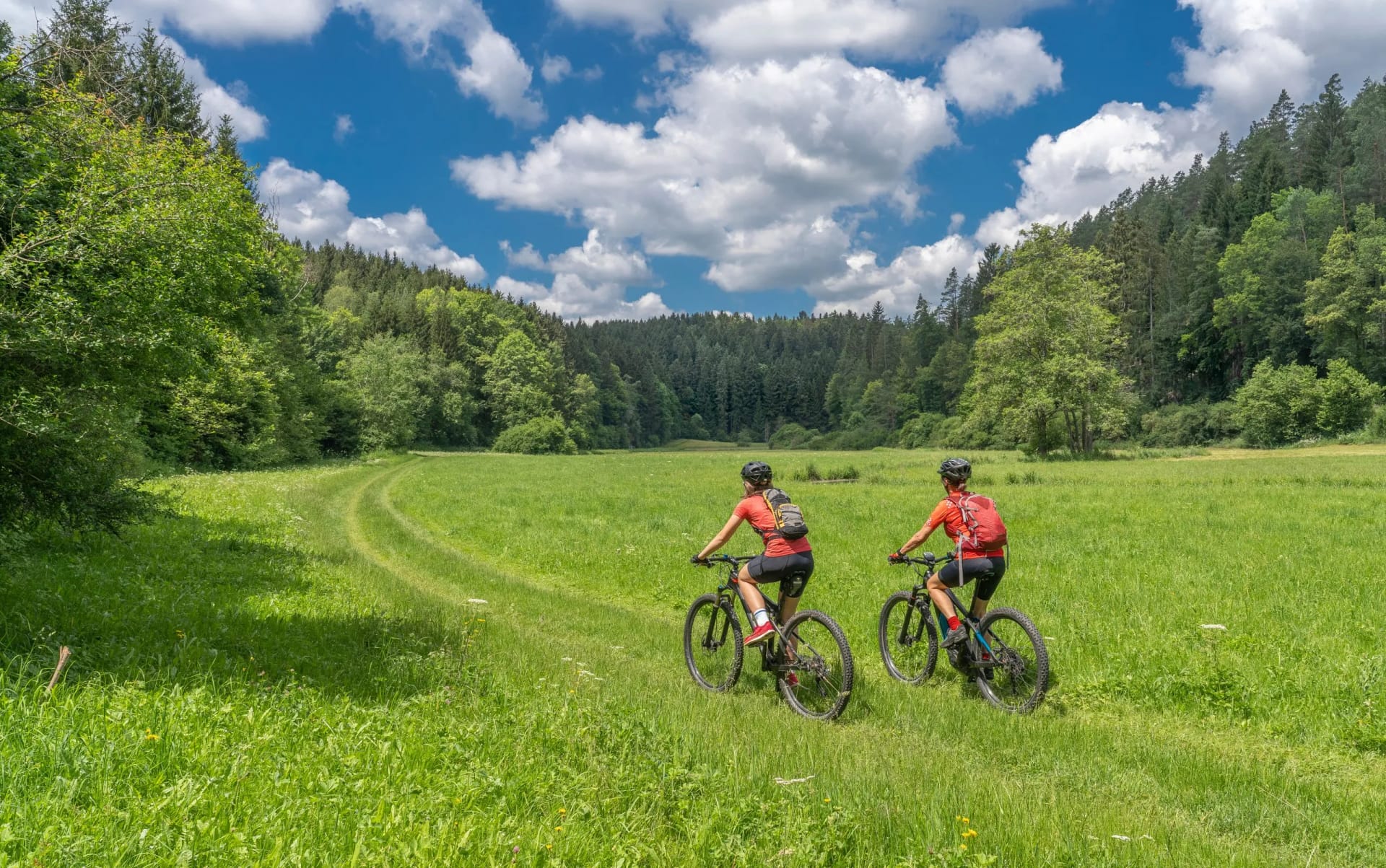 Two cyclists riding mountain bikes across a bright green meadow toward a dense forest under a blue, cloudy sky.