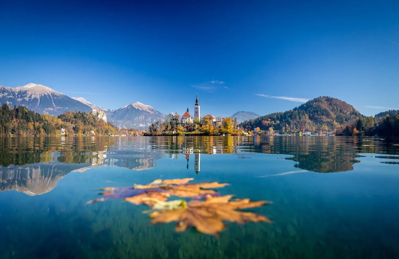 Autumn leaf floating on Lake Bled with island church and snow-capped mountains