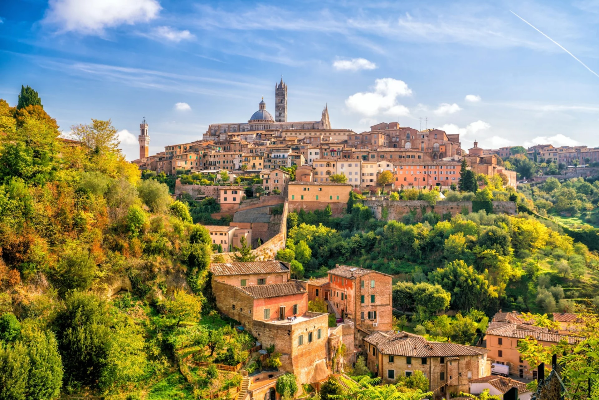 Downtown Siena skyline in Italy with historic buildings on a lush, green hillside.