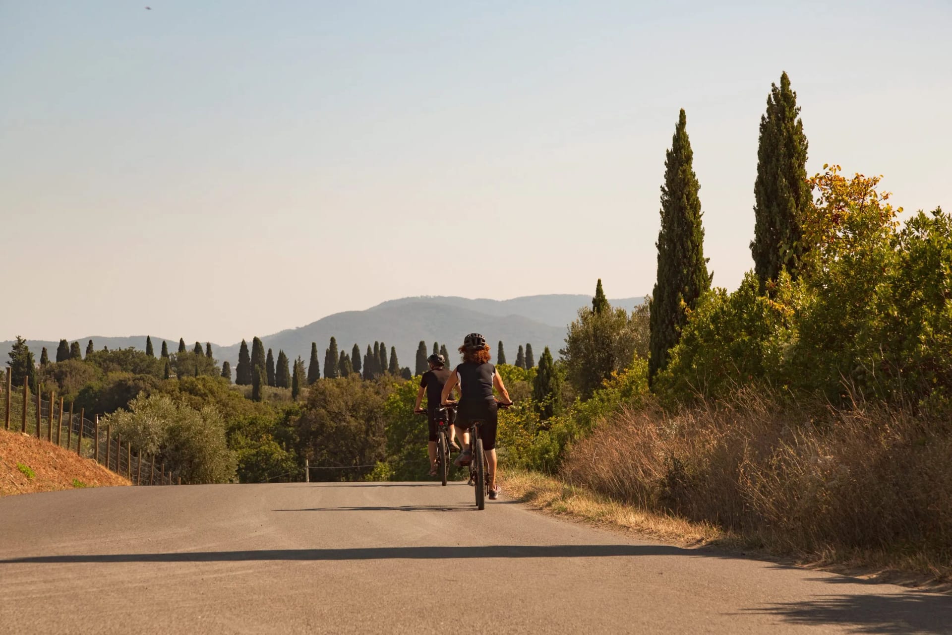 Cycling on paved road through Italian landscape with cypress trees and hills