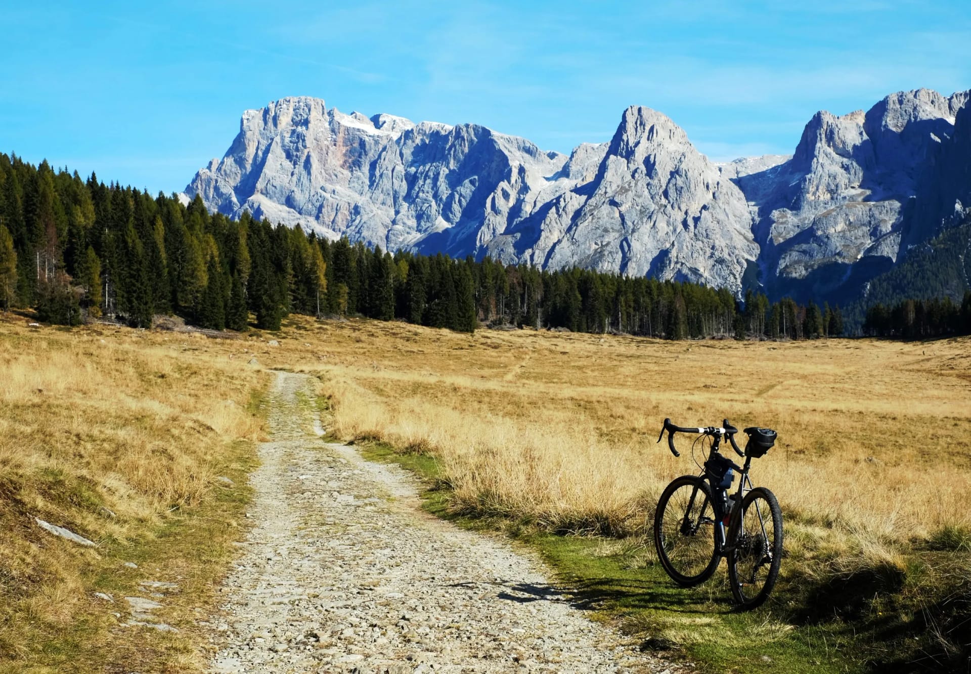 Gravel bike parked beside rocky path in dry meadow with alpine mountains and forest background