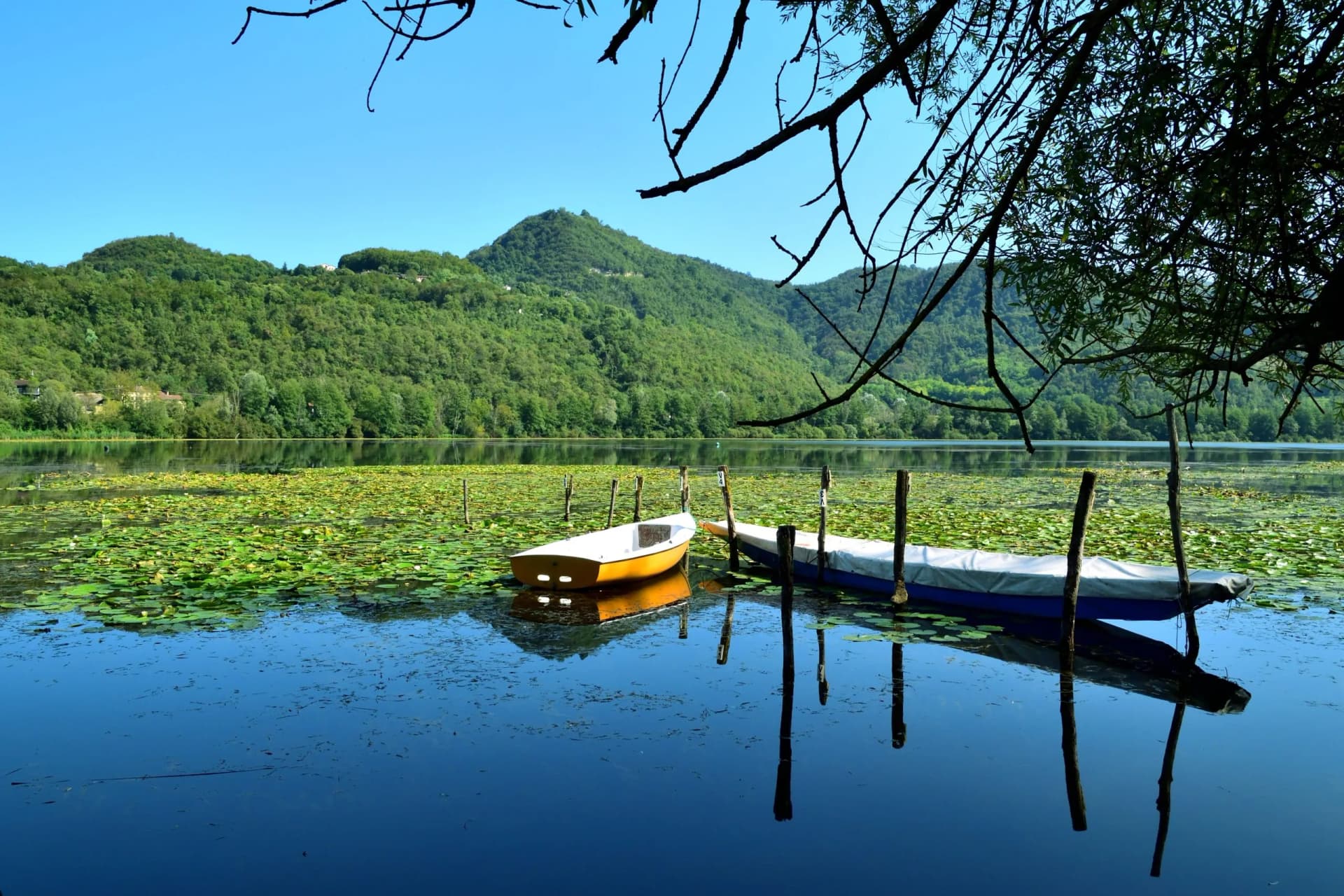 Two small boats moored on a lake covered in lily pads with green mountains in the background.