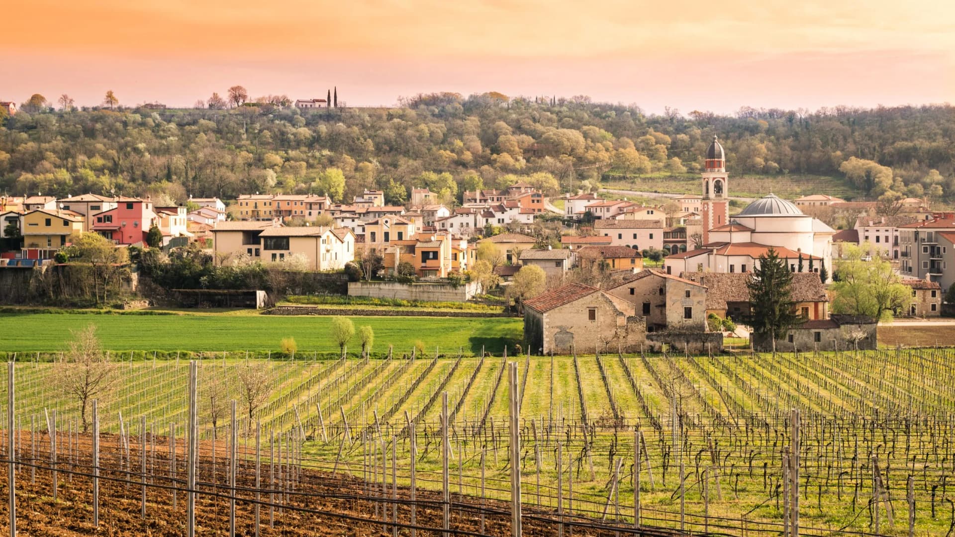 Vineyard rows leading to a village with a church tower under an orange sky in the Berici Hills.