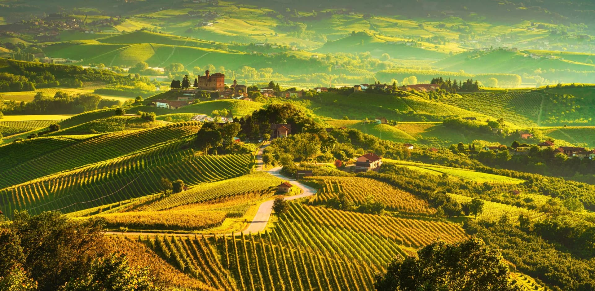 Rolling hills covered in vineyards and small villages bathed in golden sunlight