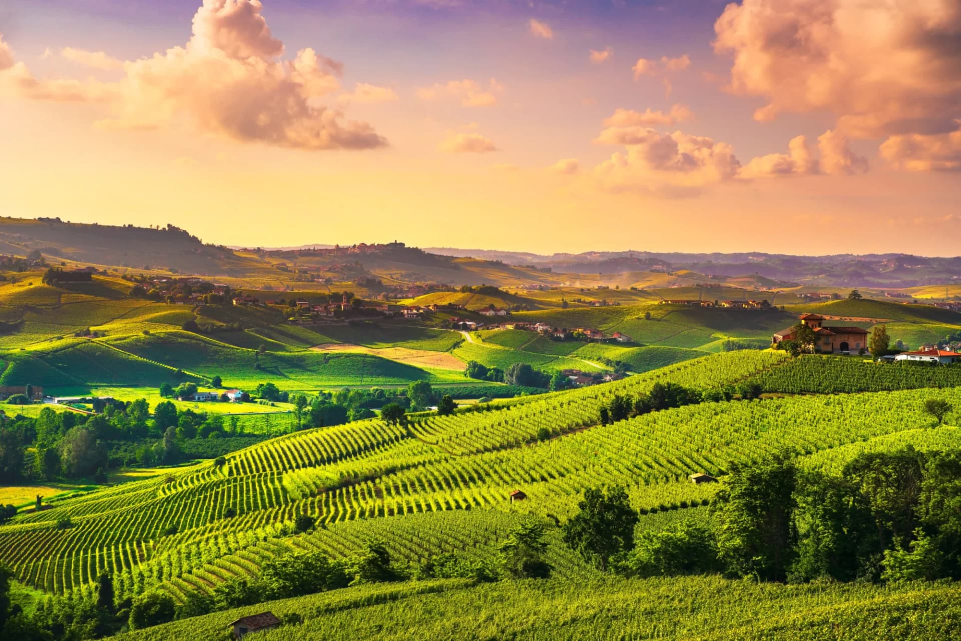Rolling green Barolo vineyards at sunset in Piedmont, Italy, with scattered villages.