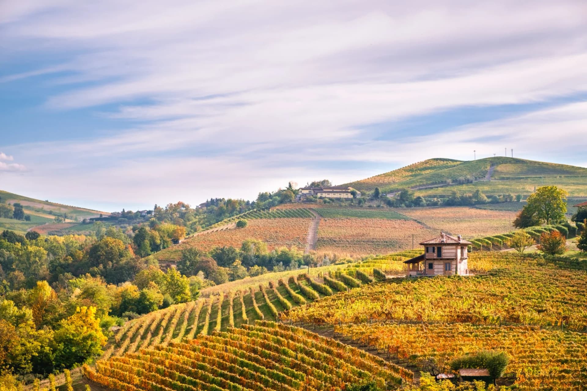 Rolling hills of Barolo and Roero vineyards in autumn with a farmhouse under a blue sky.