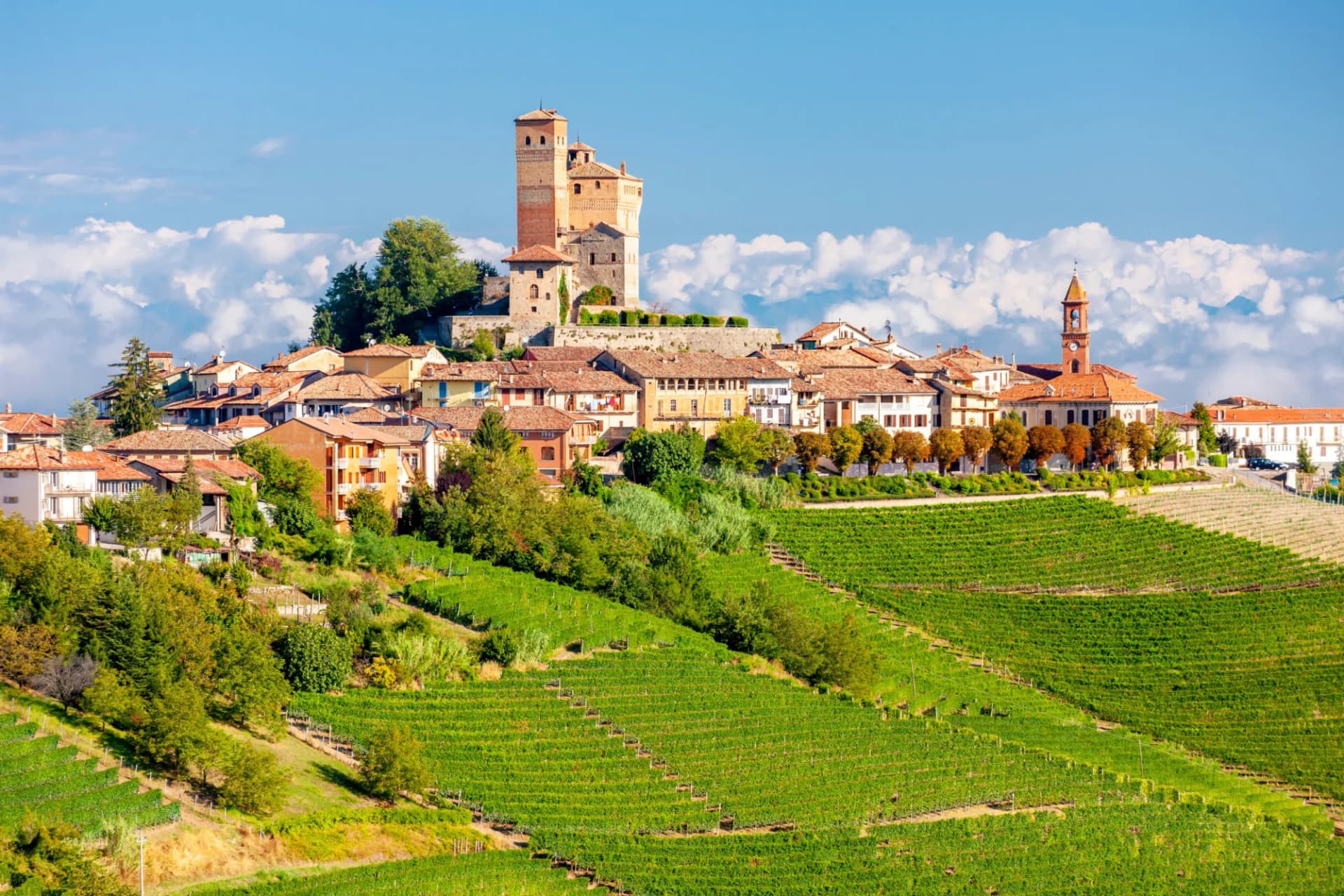 Village of Serralunga d'Alba with castle and bell tower above terraced green vineyards in Langa, Italy.