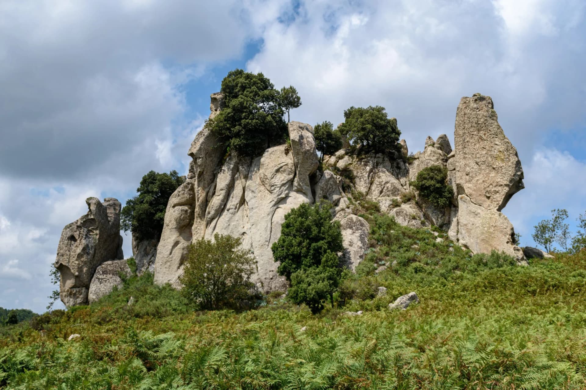 Rocky natural megalith formation with trees on the Argimusco Plateau in Northern Sicily.