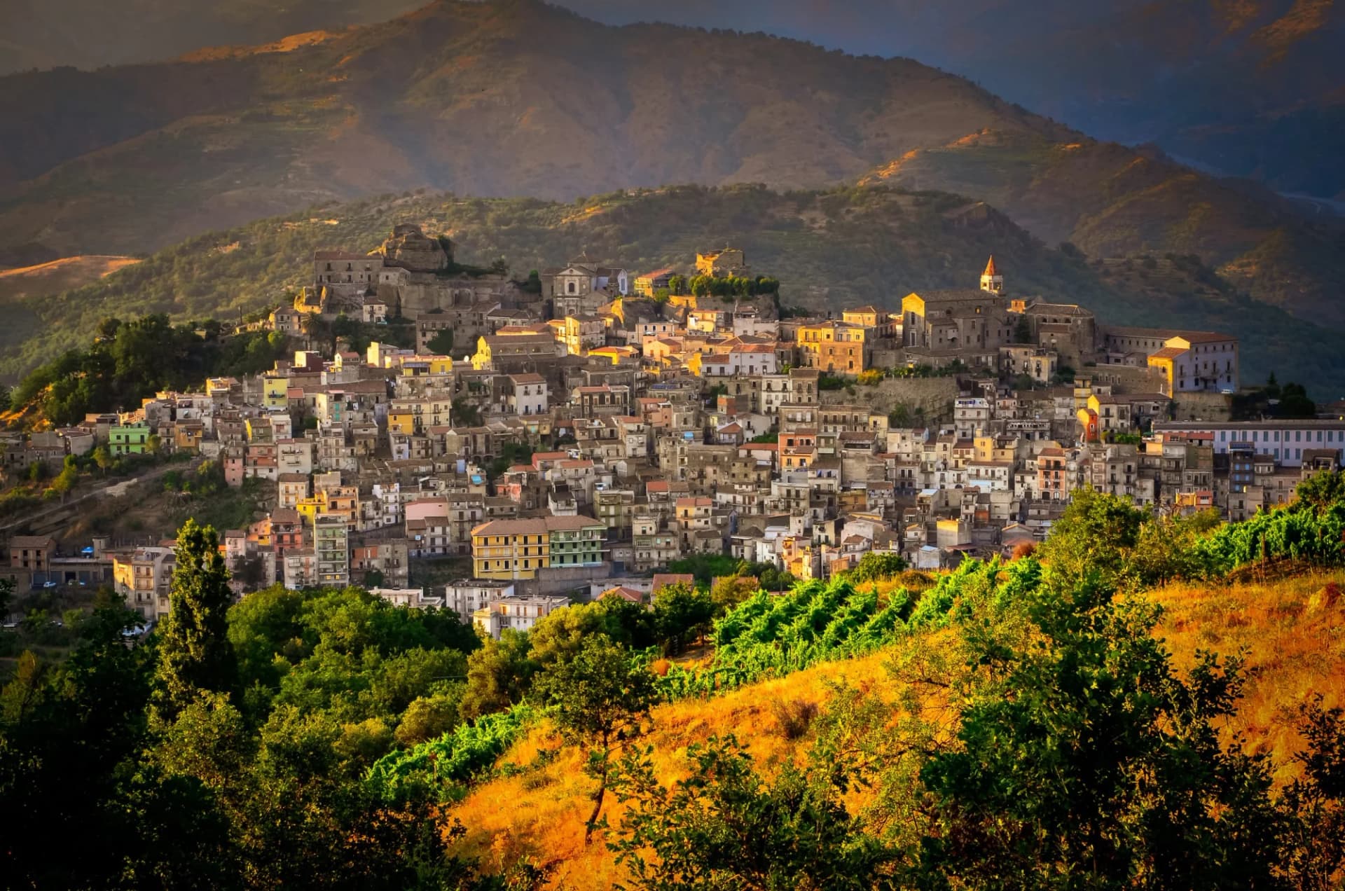 Castiglione di Sicilia village nestled on a hillside with vineyards in the foreground and mountains behind.