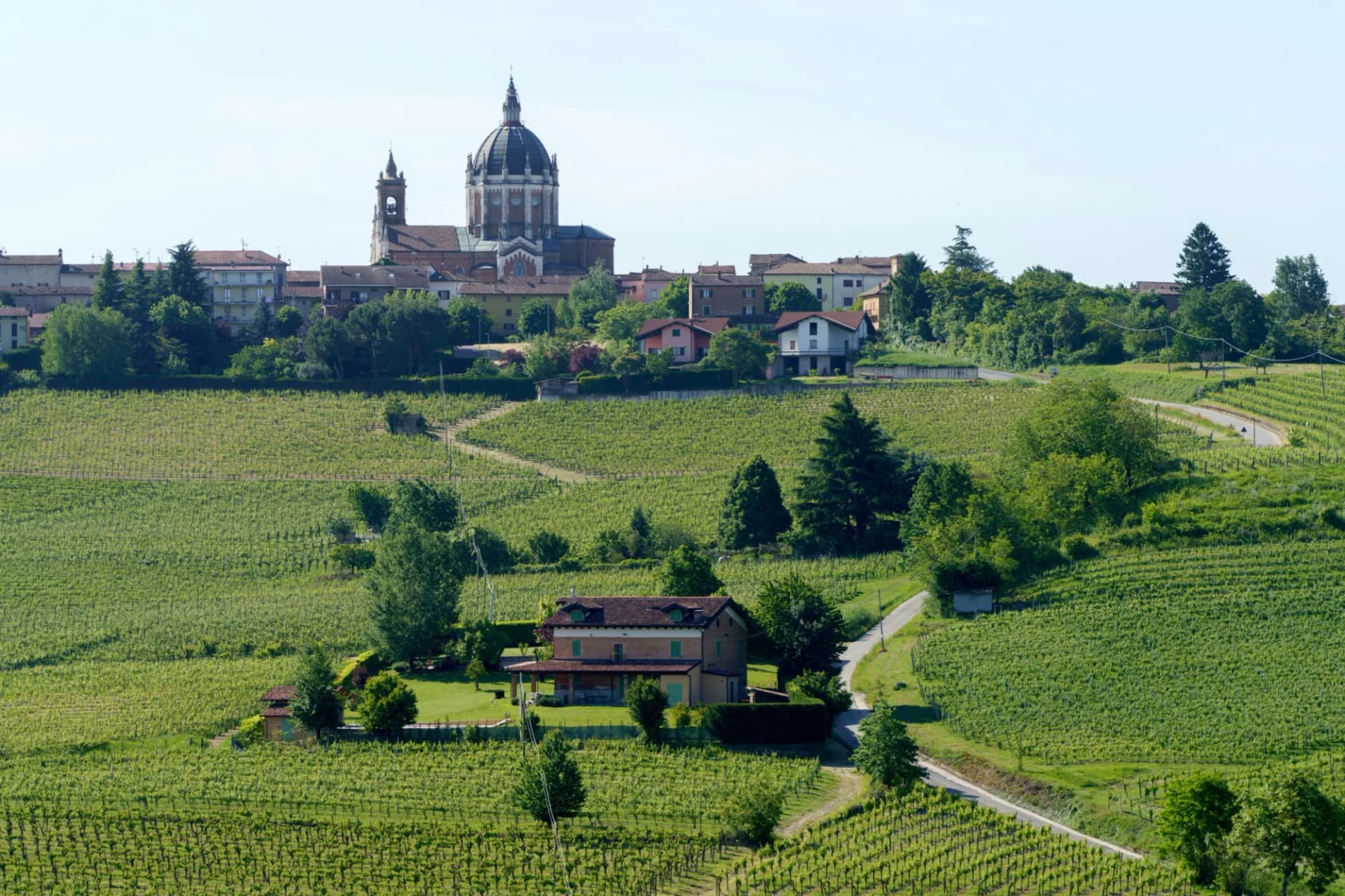 Vineyards of Monferrato near Nizza in springtime with a town and large dome church on the hill.