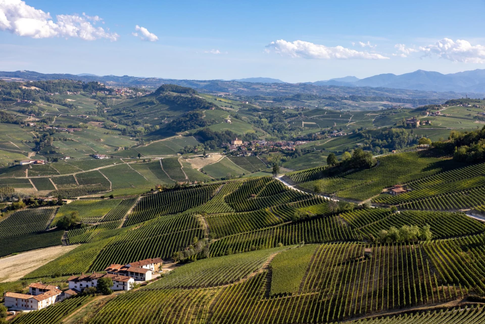 Vineyard landscape view from La Morra, UNESCO site in Piedmont, Italy, with rolling green hills and distant mountains.