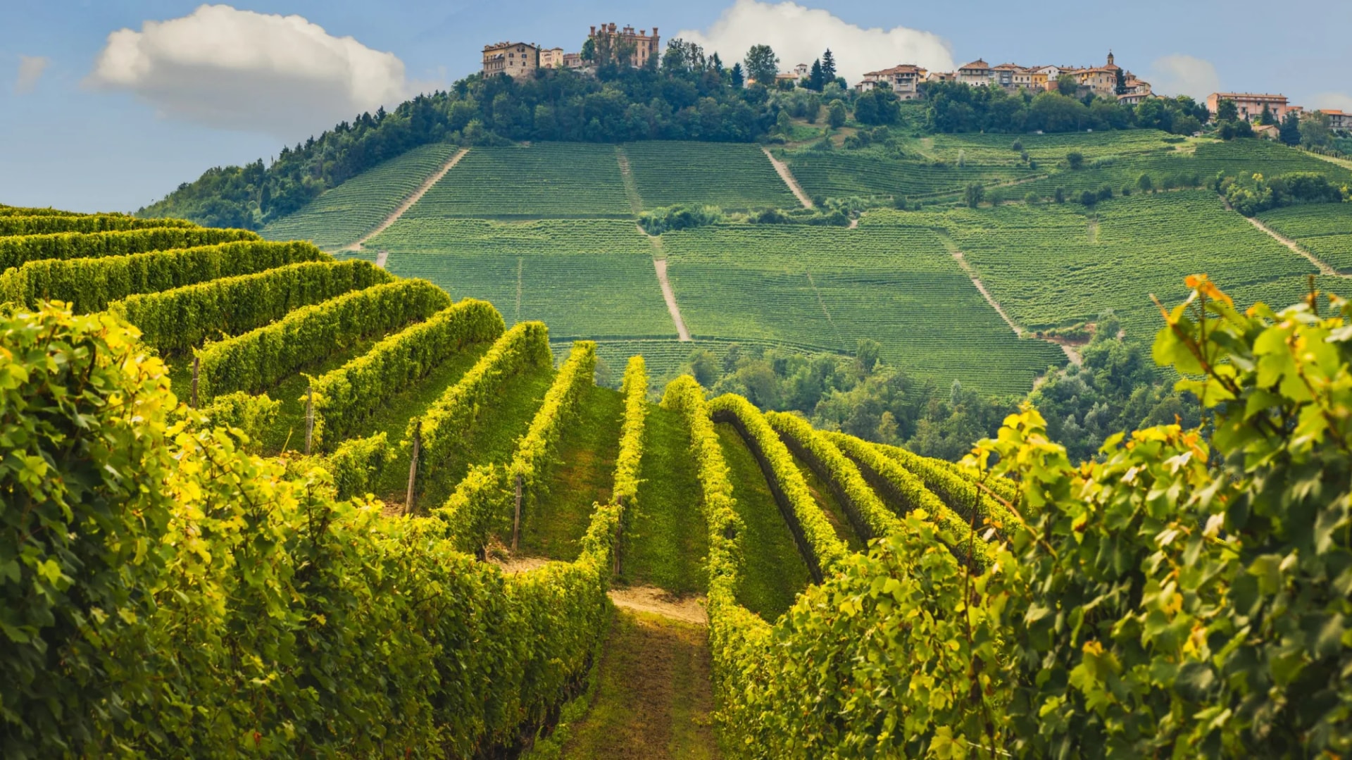 Panorama of Novello with town and terraced vineyards on rolling hills under a blue sky.