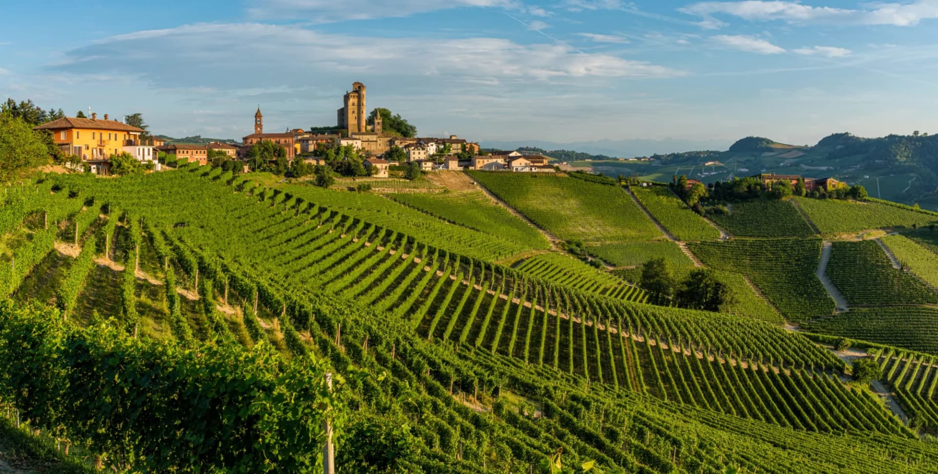 Vineyards surrounding the village of Serralunga d'Alba in the Langhe region of Piedmont, Italy.