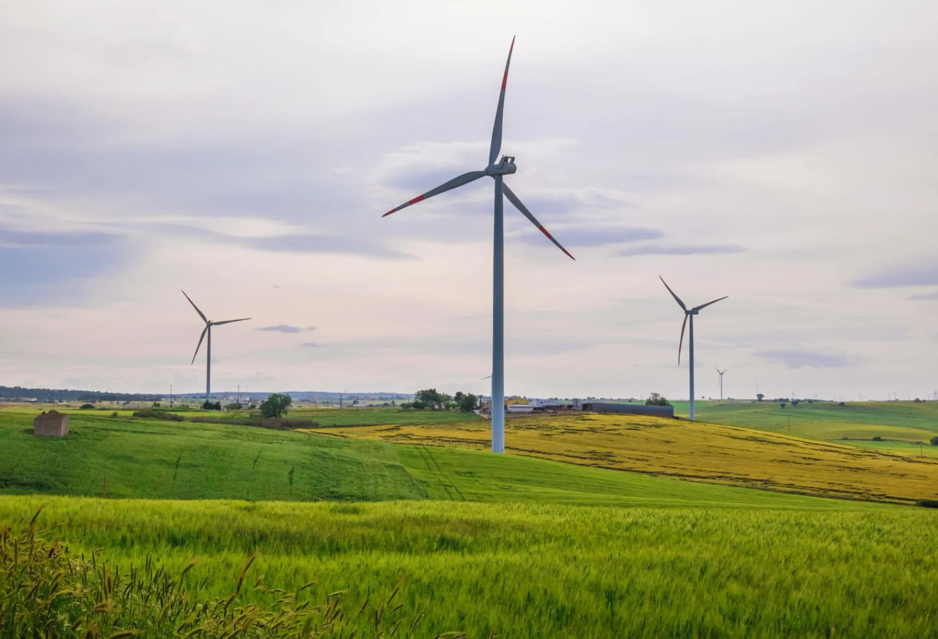 Wind farm with turbines across rolling green and yellow wheat fields in Puglia, Italy.