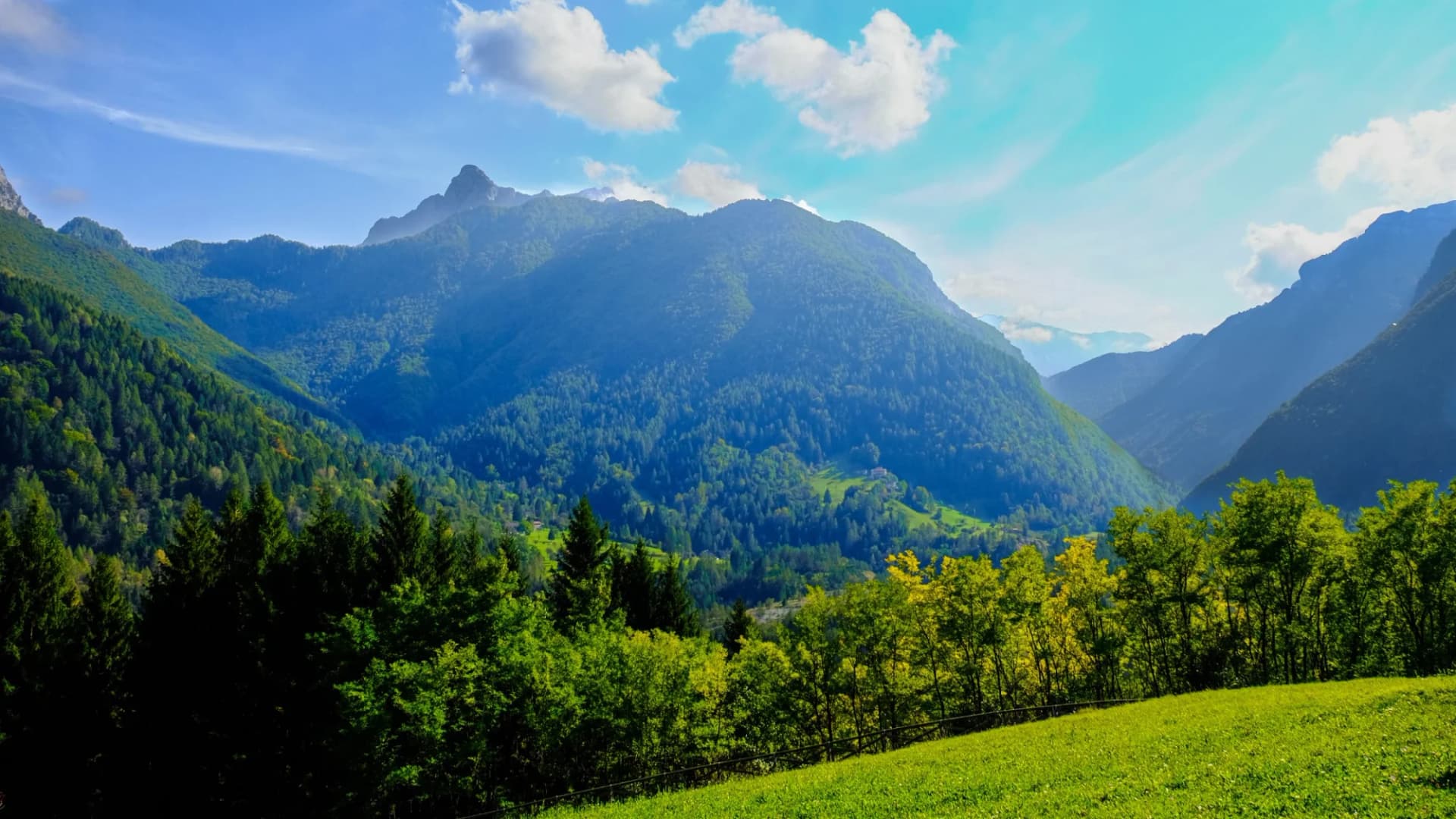 Lush green mountainsides and valleys under a bright blue sky near Longarone.
