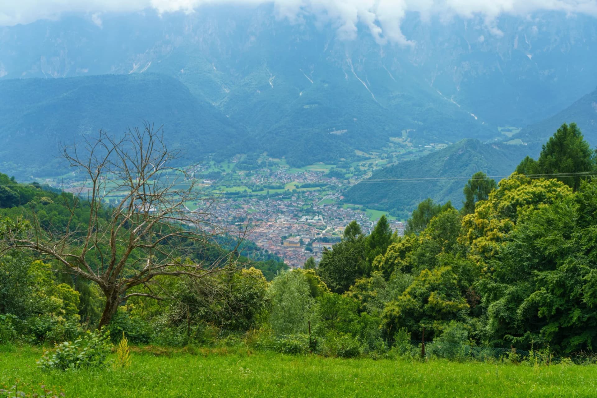 Panoramic view of Valsugana valley town from Torcegno overlook with green foreground and misty mountains.