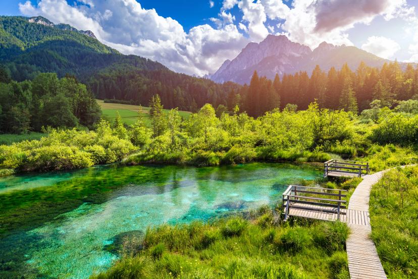 Zelenci Nature Reserve  image 1