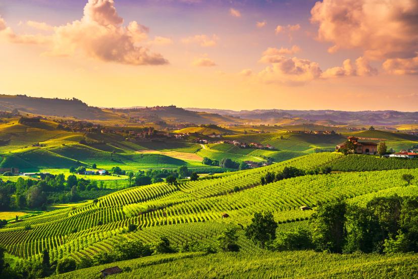 Piedmont image 1