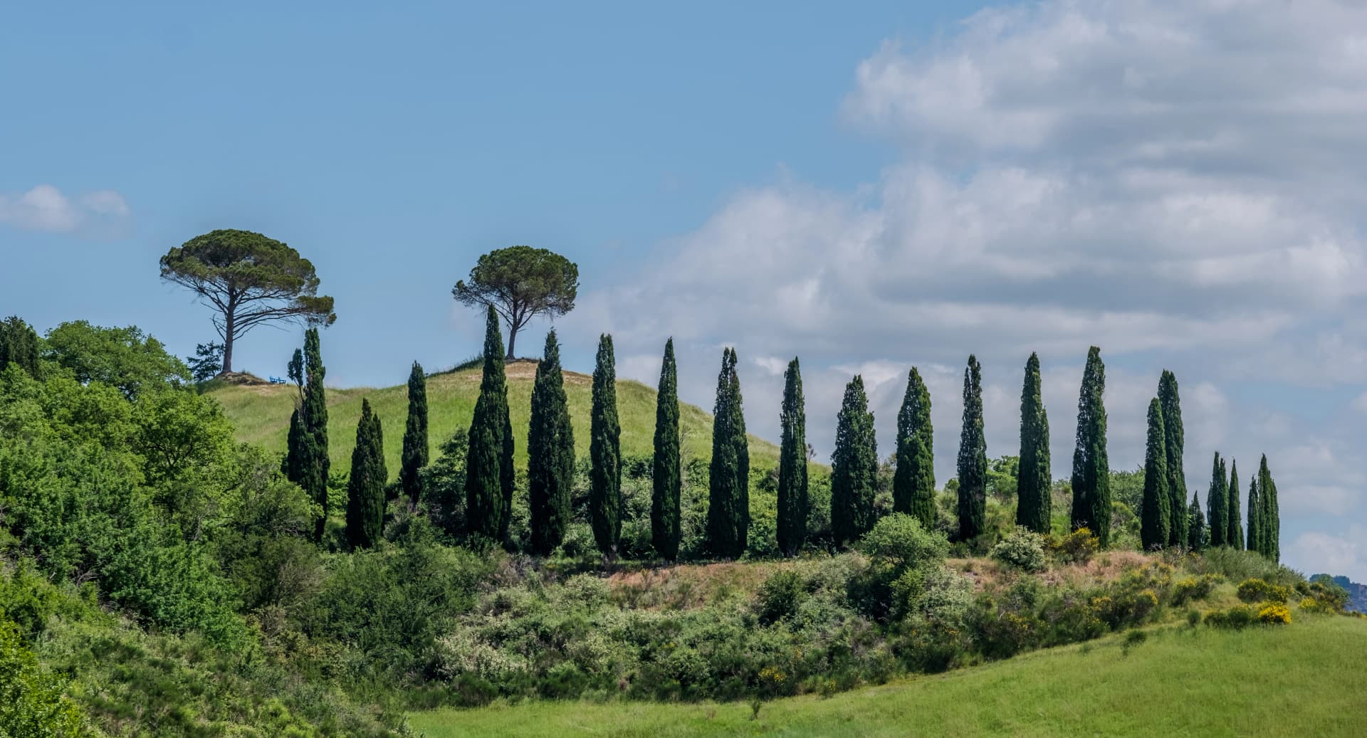 View of the Tuscan hills, in rural Tuscany north of Pienza and San Quirico in the Orcia Valley