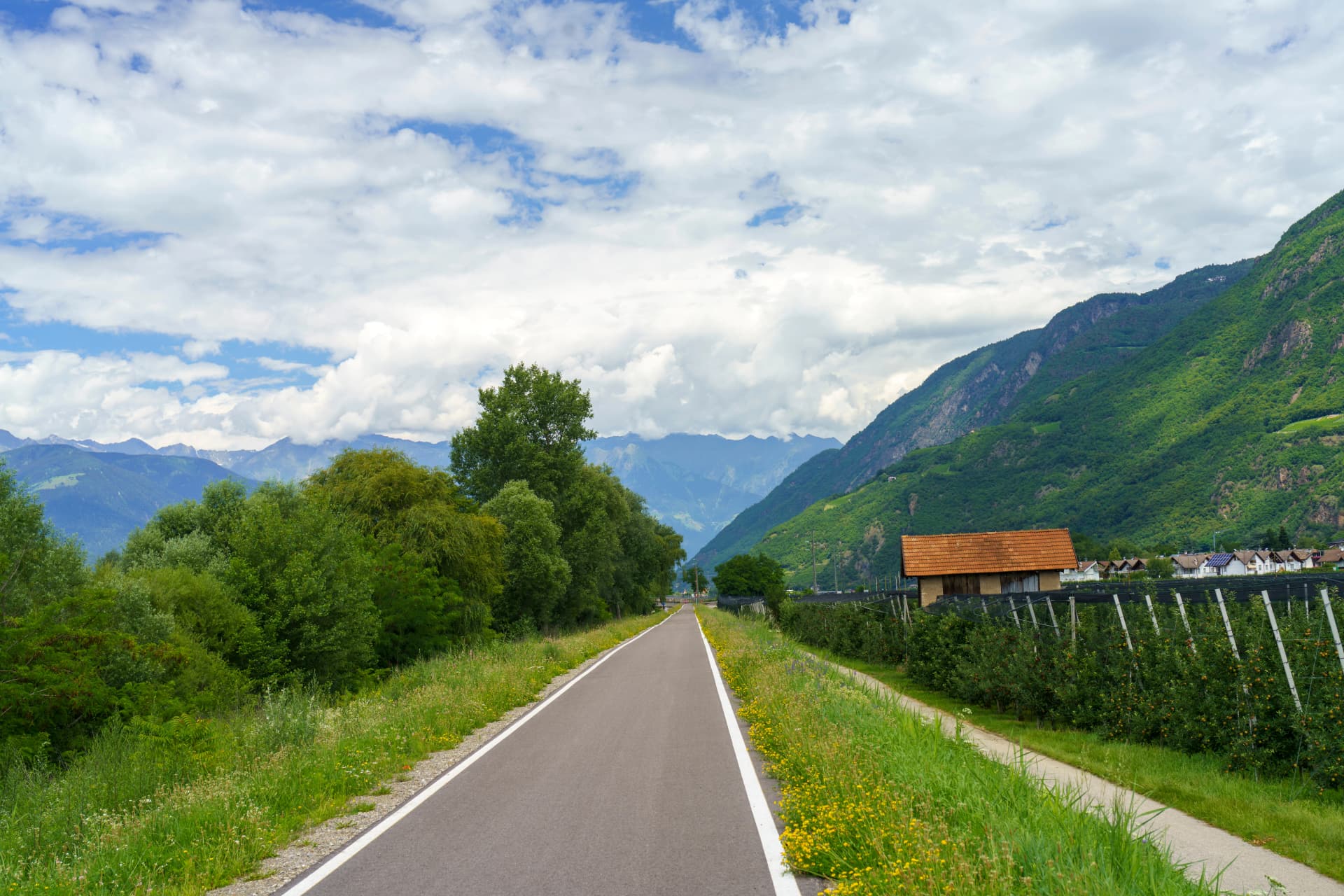 Summer landscape along the cycleway of the Adige river