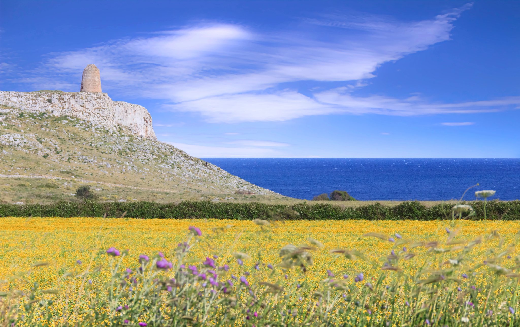 The most beautiful landscape of Italy: Salento in Apulia. Springtime: field of wildflowers; in the background Sant''Emiliano tower located in The Otranto Santa Maria di Leuca Coast and Tricase Woods.
